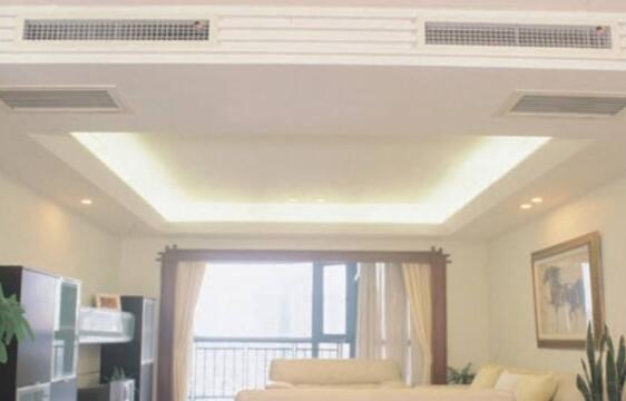 中央香蕉视频在线观看网站不出风怎么办？中央香蕉视频在线观看网站怎么养护？